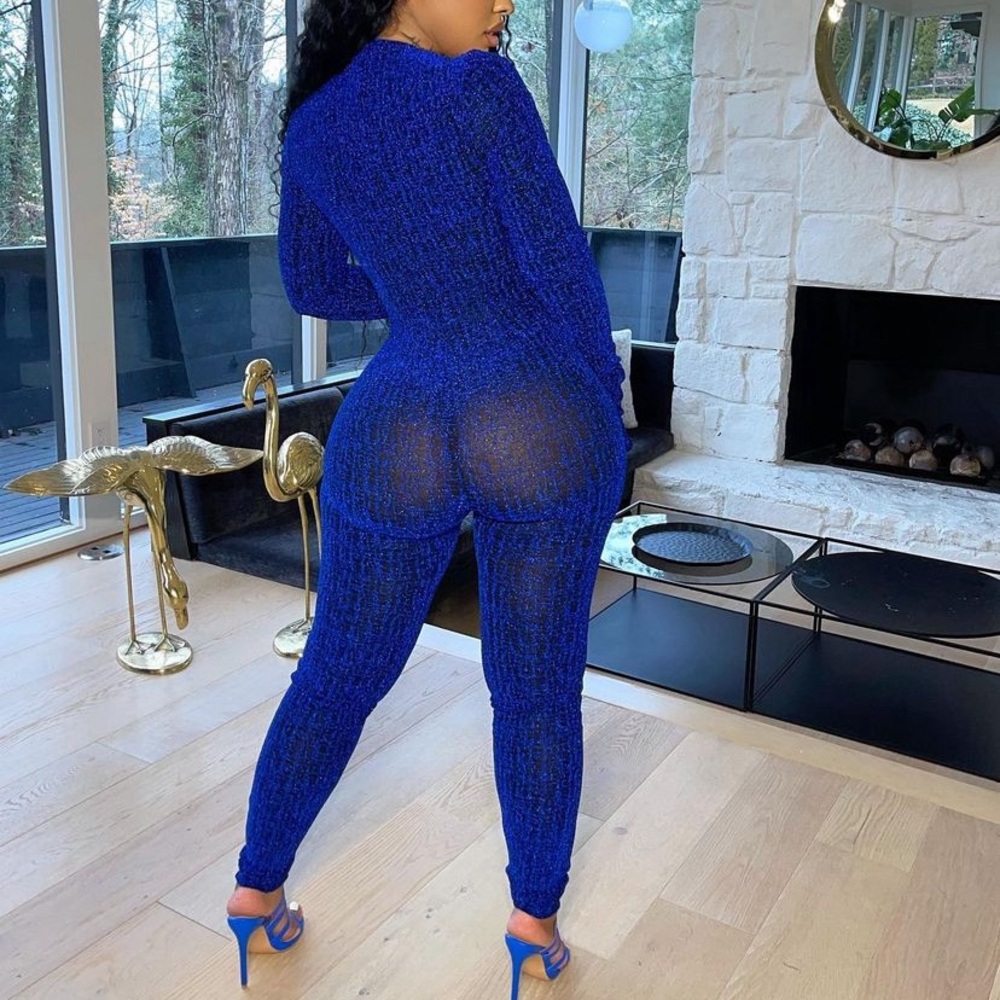 Stylish Blue Sheer Jumpsuit